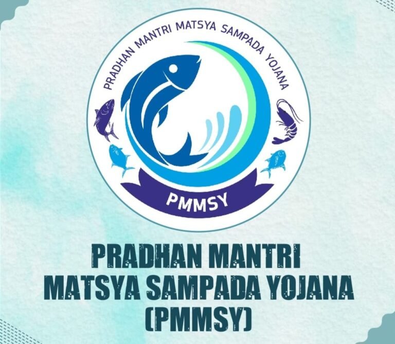 WhatsApp Image 2025-t